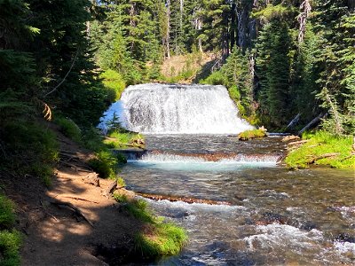 Fall Creek in OR