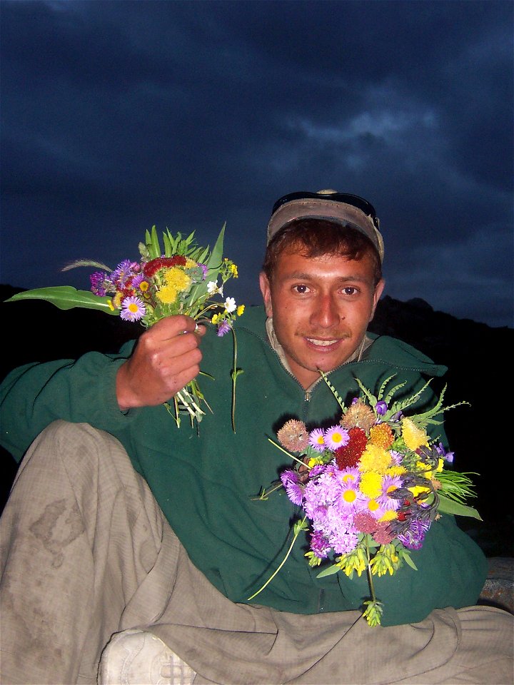 Porters vit wild flowers