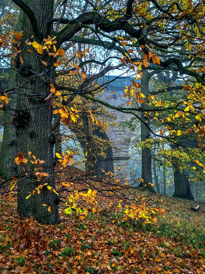 Autumn Phots