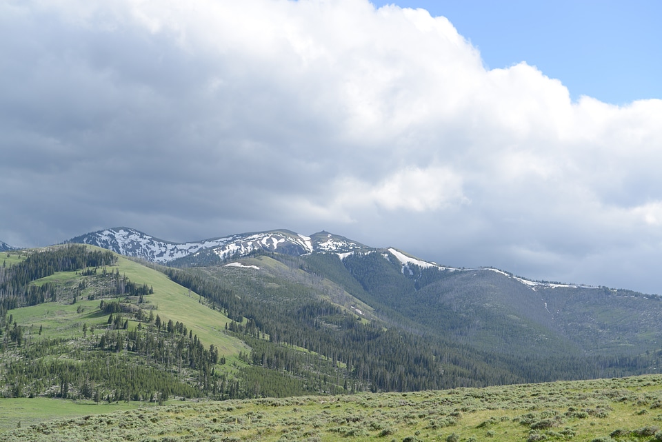 Bunsen Peak Trail. Yellowstone national park
