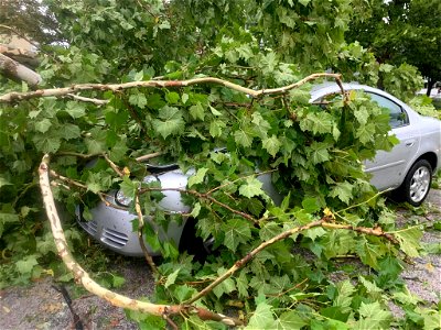 Car buried on Hemlock Street. (PHOTO PFPD)