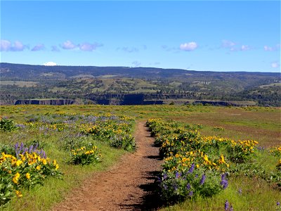 Rowena Crest in OR photo