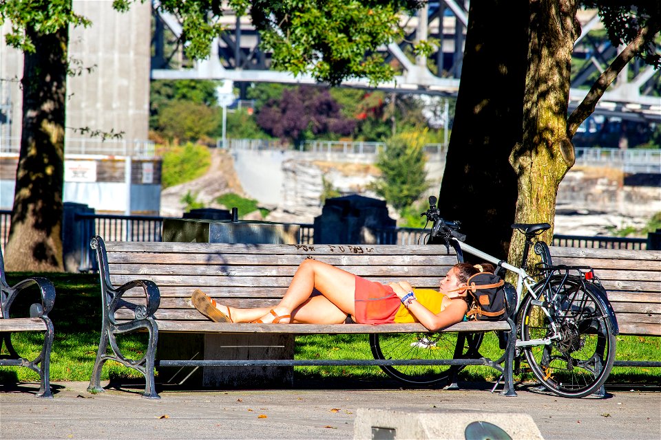 Sleeping at salmon