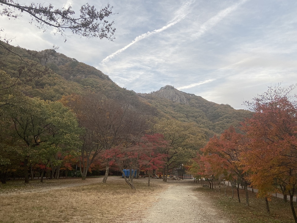 Fall Foliage Naejangsan National Park