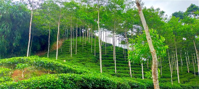 Pemandangan Alam Yang Indah