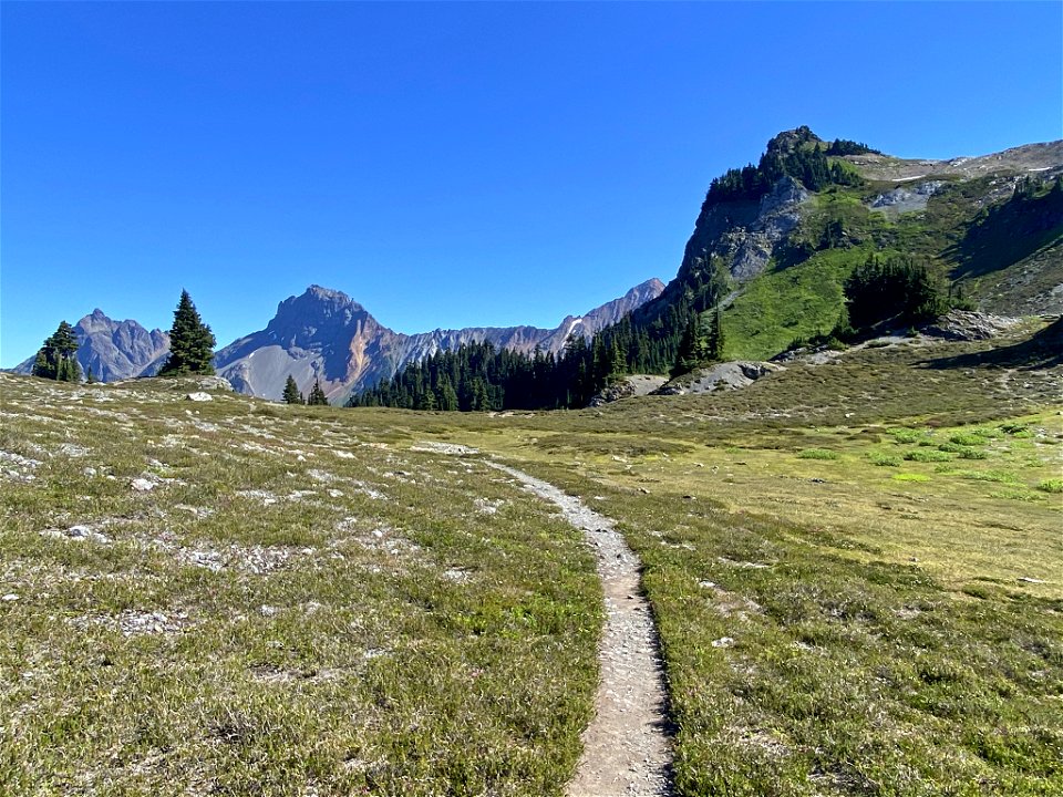 Yellow Aster Butte in WA