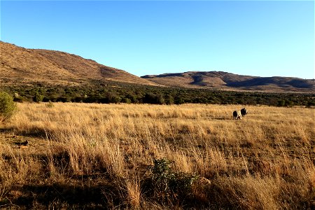 Pilanesberg's Landscape photo