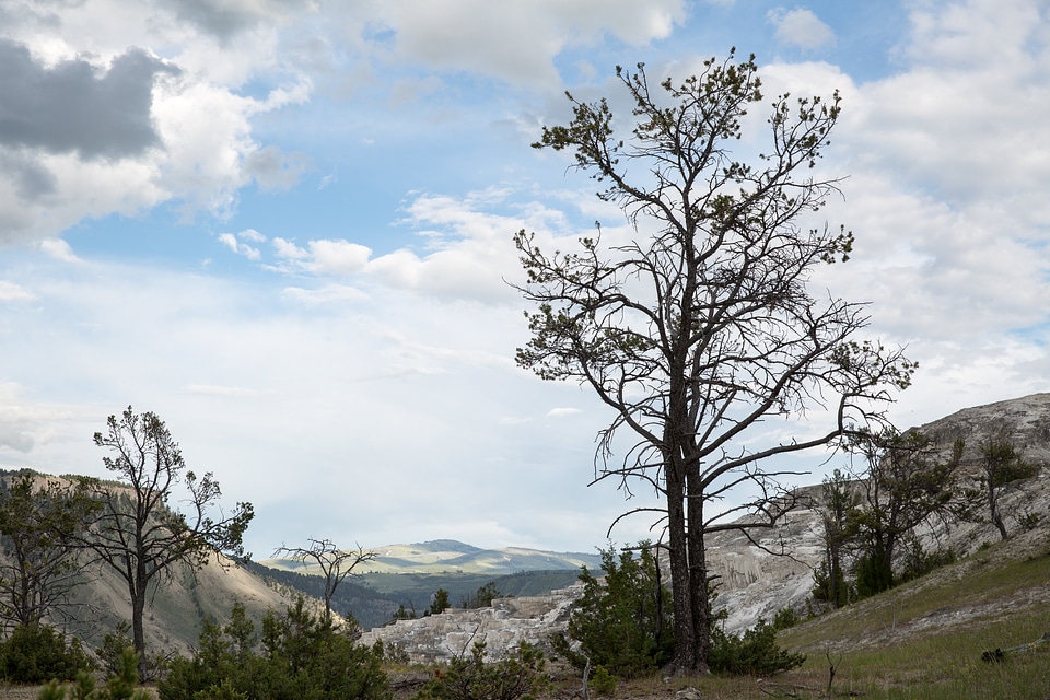 Hiking trail toward Sky Rim, Yellowstone National Park photo