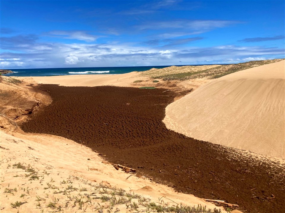 Molokai Shores photo