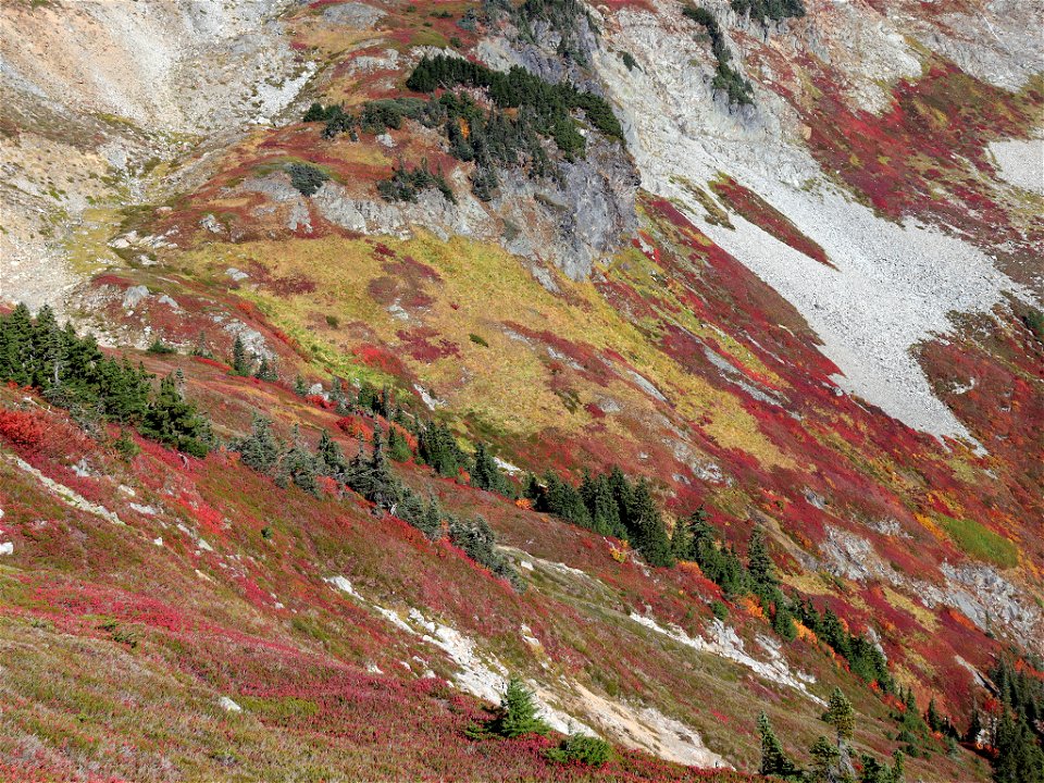 Cascade Pass and Sahale Arm in WA