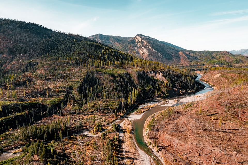 Flathead National Forest in Montana