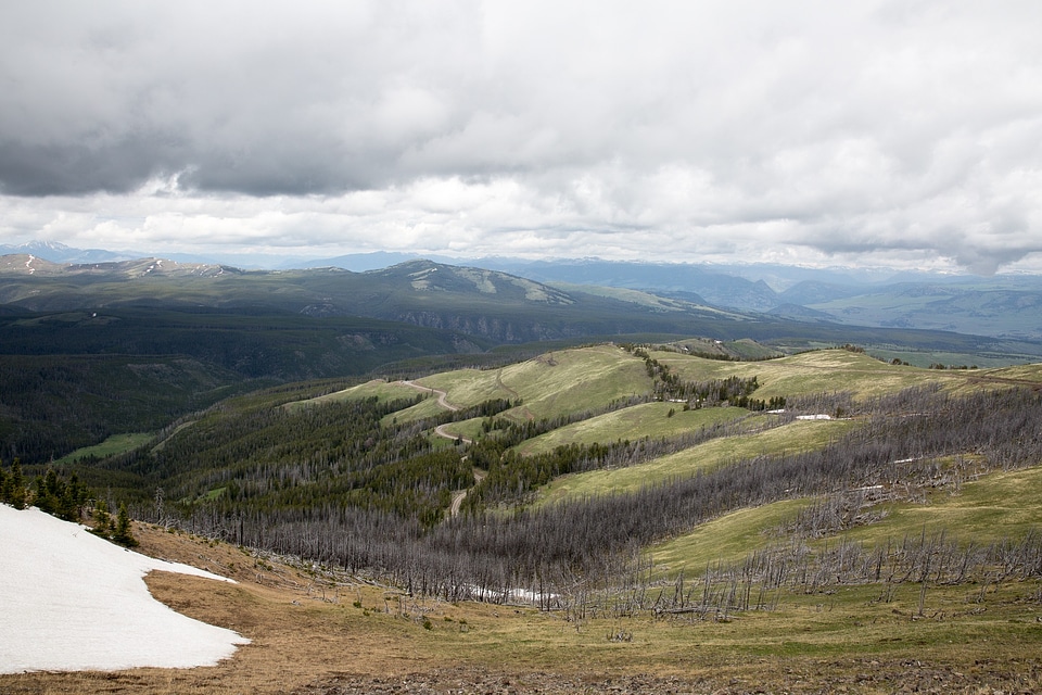 Mount Washburn, Yellowstone National Park