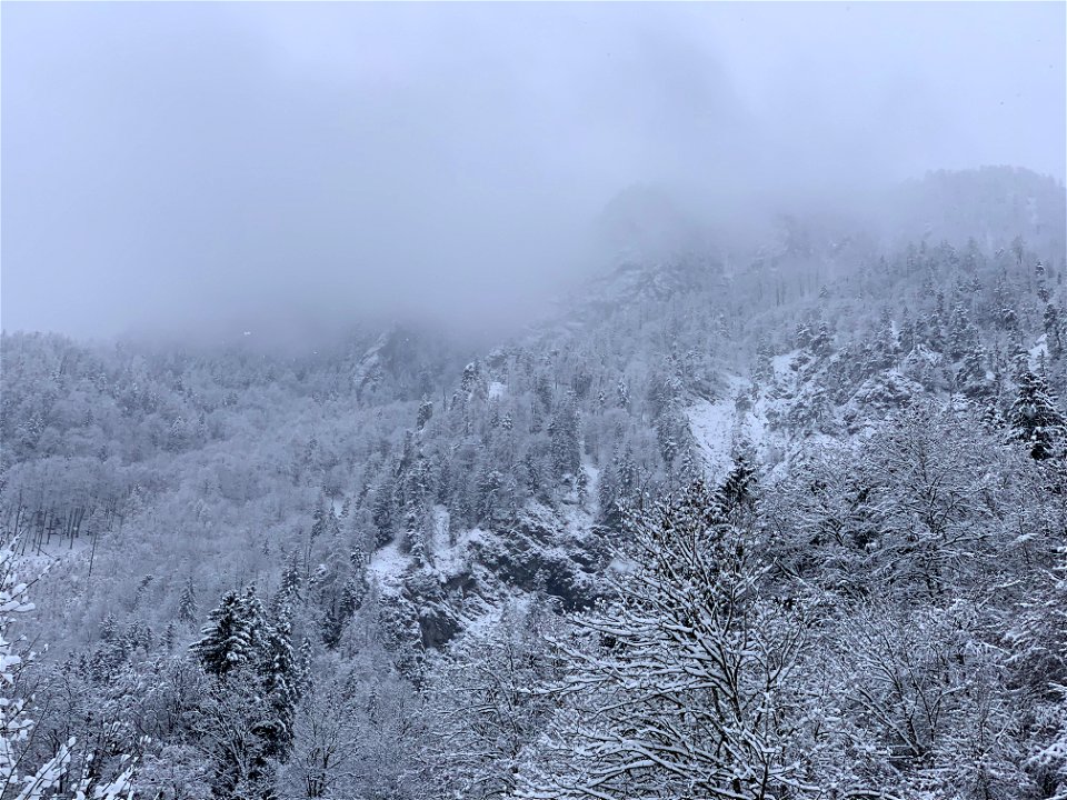 Besneeuwde bergen