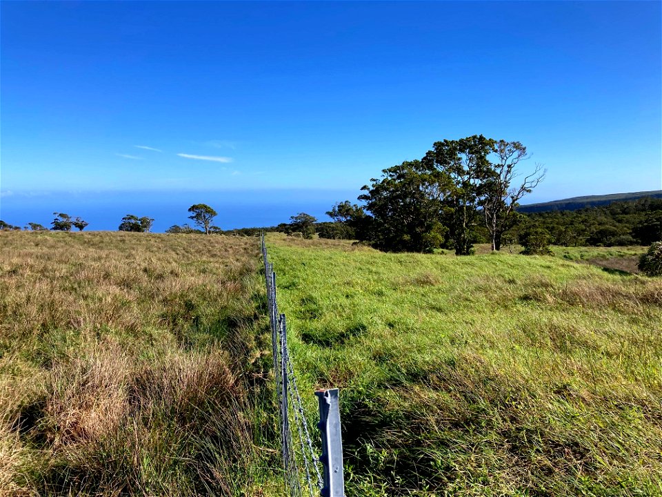 Pasture Management