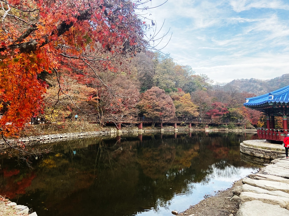 Fall Foliage Naejangsan National Park