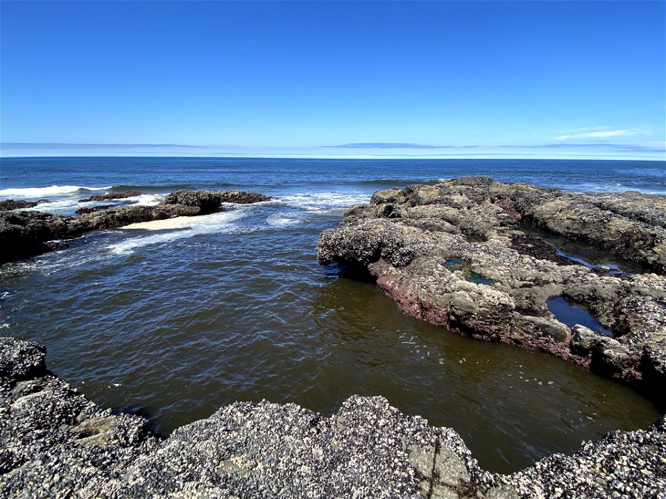 Cape Perpetua in OR photo