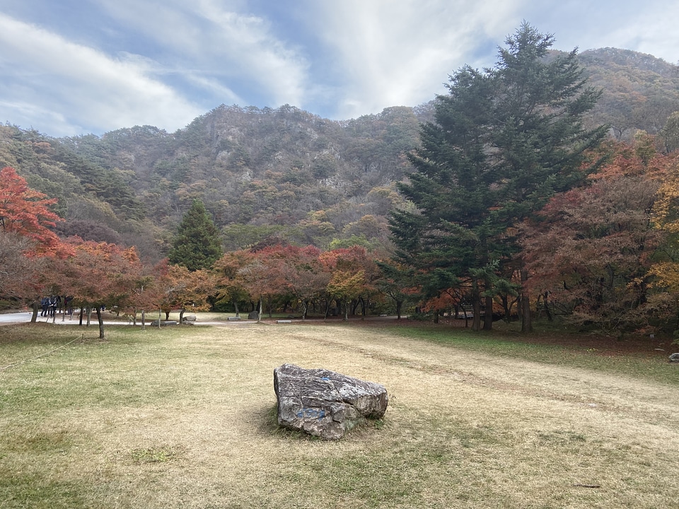 Fall Foliage Naejangsan National Park