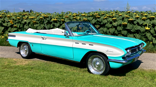 Buik Skylark 1962  convertible
