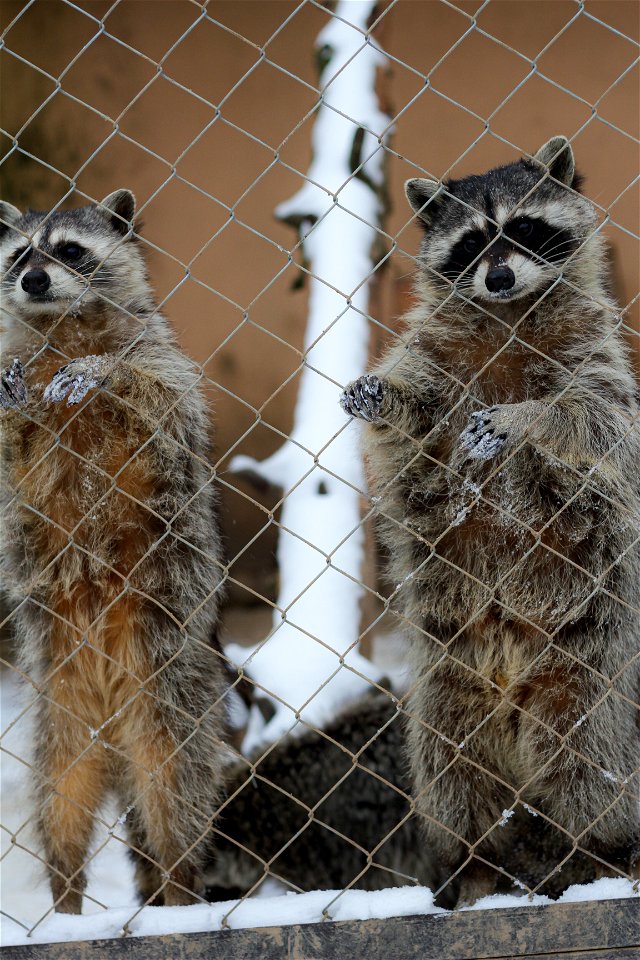 Do u hav some meal?