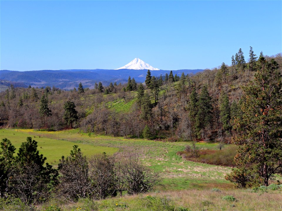 Memaloose Hills in OR