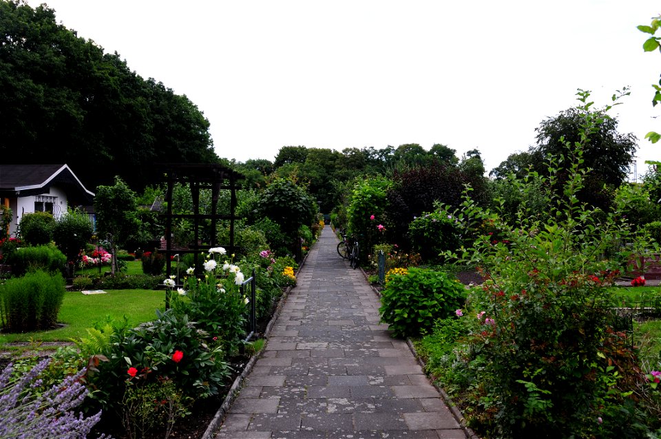 Der Garten am 27. Juli 2020