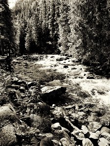 Summer in the Mountains 4 (Antique) photo