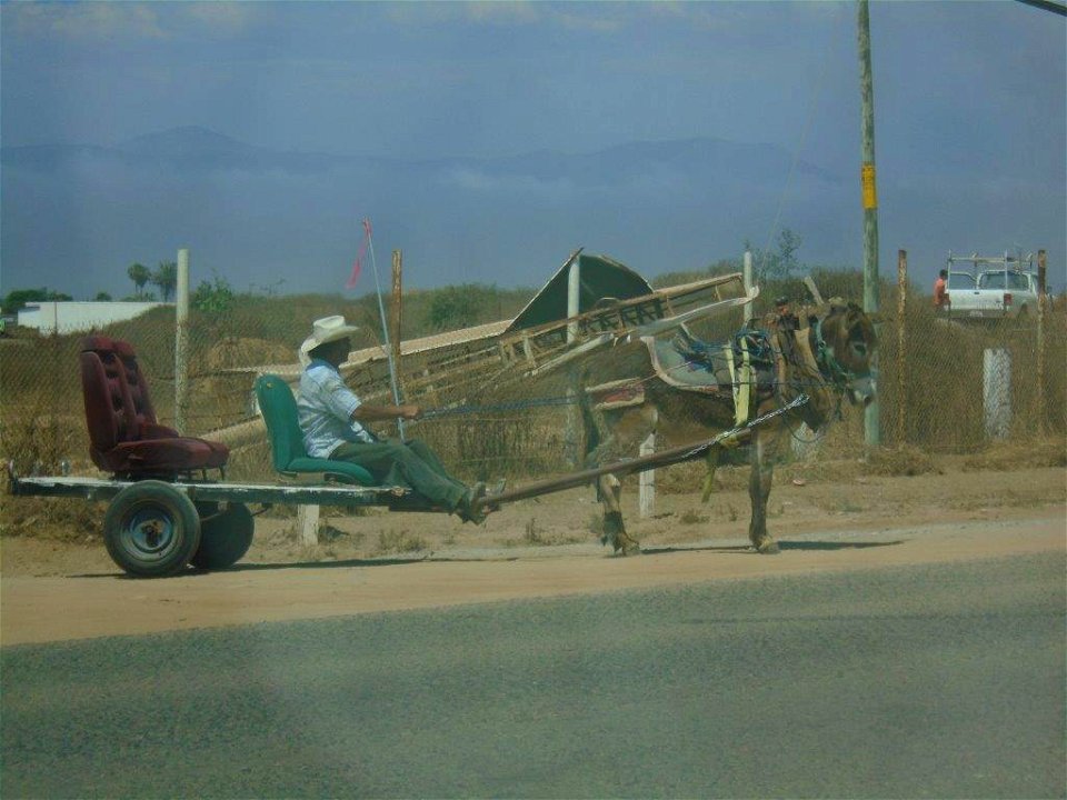 DSC01707