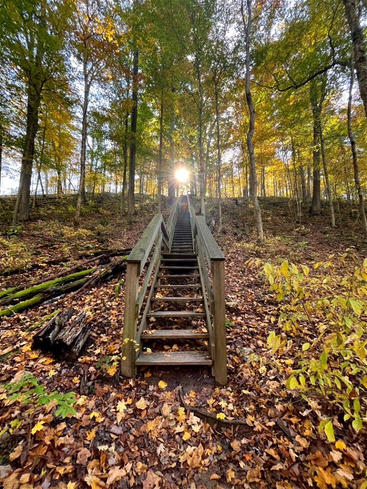 McCormick’s Creek State Park