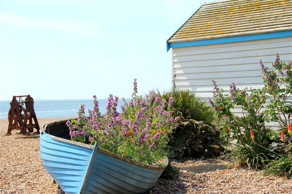 Pretty little boat