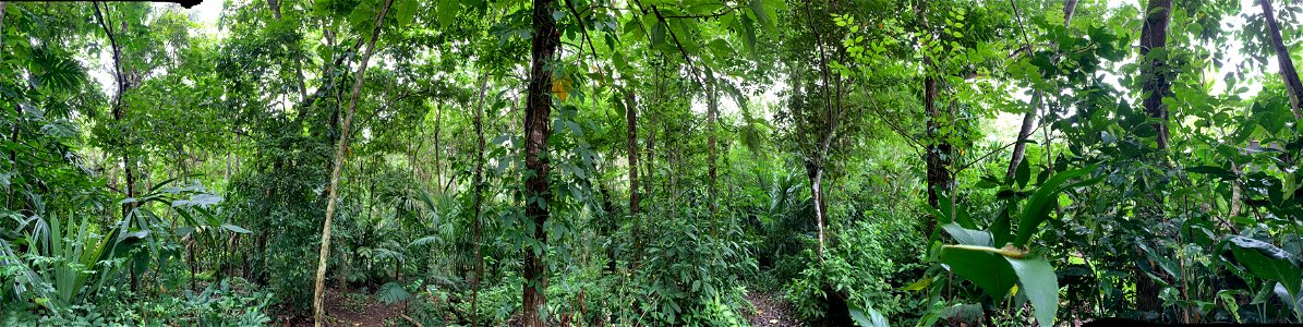 Green Hills Butterfly Ranch Belize