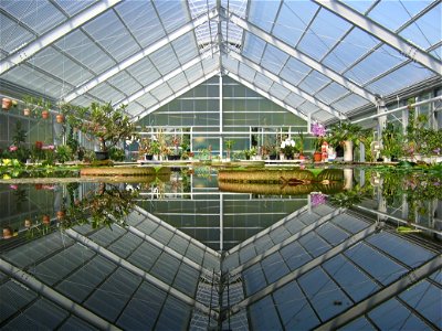 Greenhouse at one of the jigoku photo