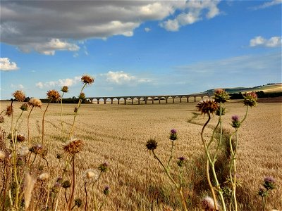 Ferrovia Rocchetta Sant'Antonio - Gioia del Colle, Ponte 21 Archi, Spinazzola