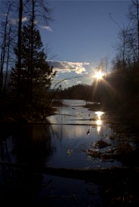 Wetlands