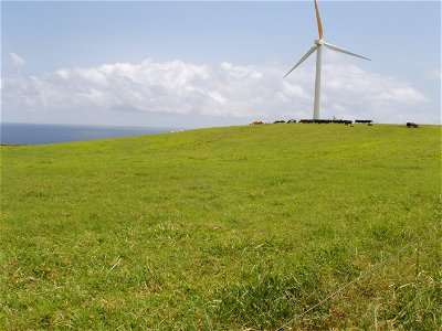 Wind Turbines in North Kohala photo