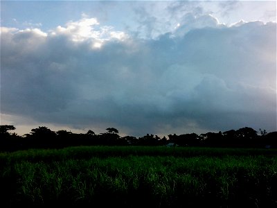 Morning Sky with Green Field