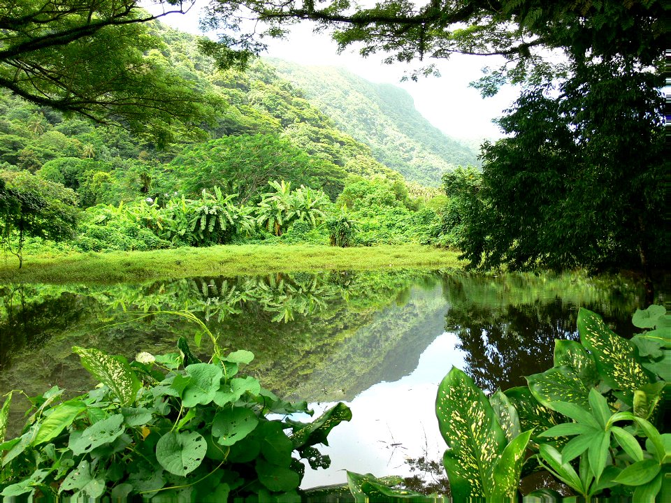 Malaeimi Valley America Samoa