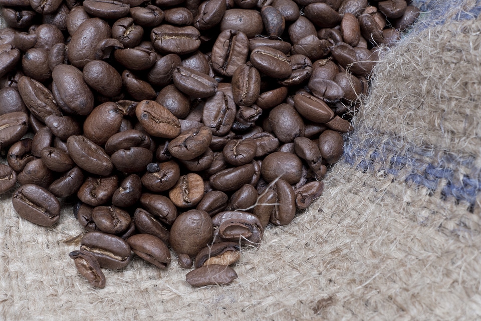 Brown coffee beans grains