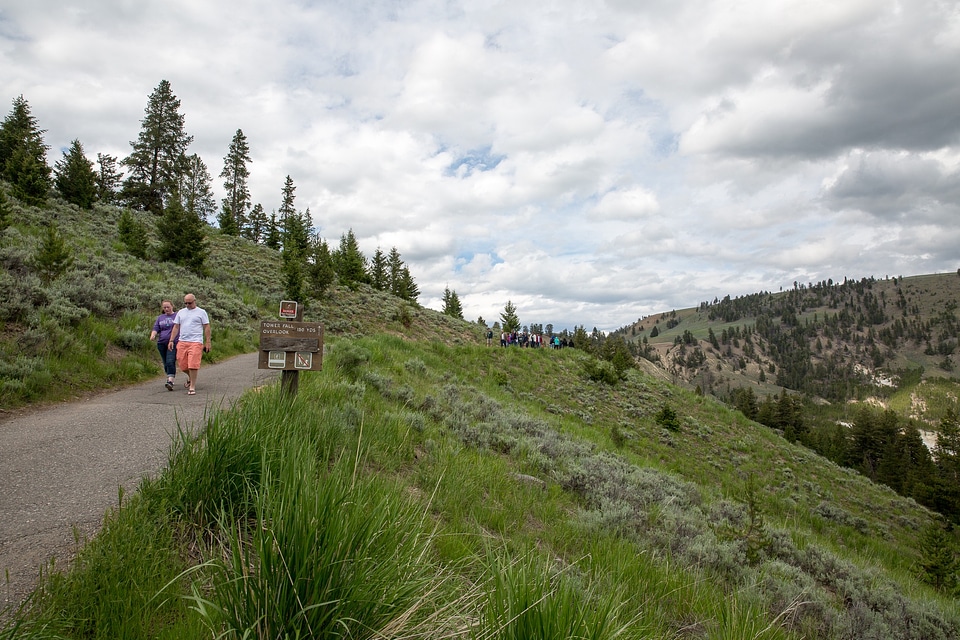 Mount Washburn Trail, Yellowstone National Park