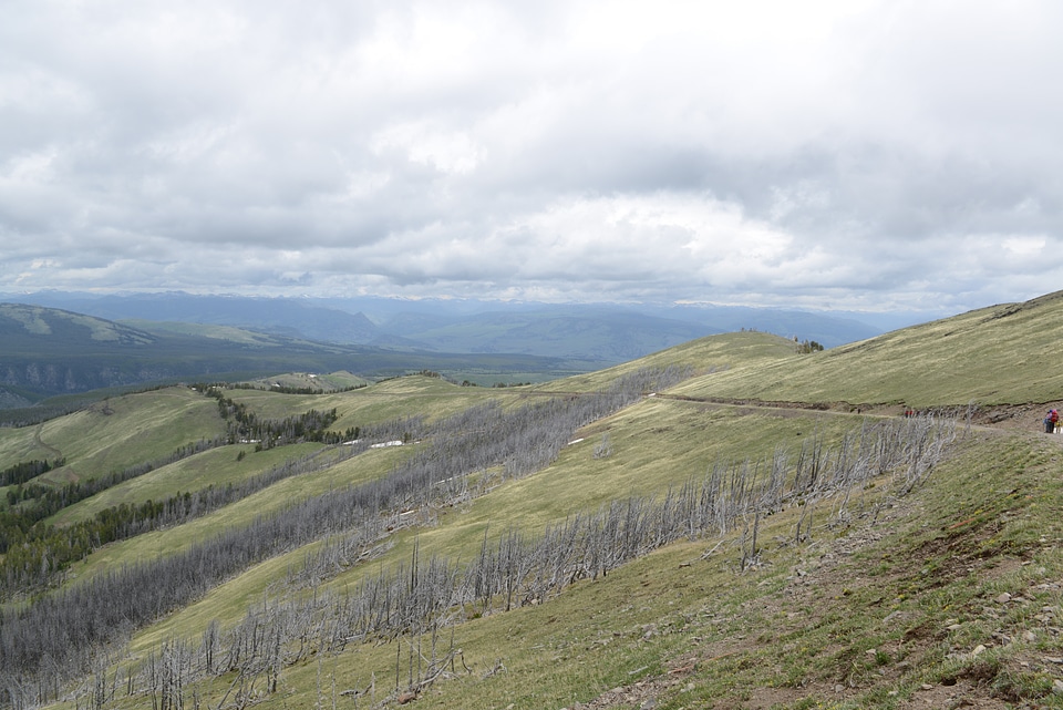 Mount Washburn Trail, Yellowstone National Park