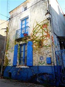 DSCN2720