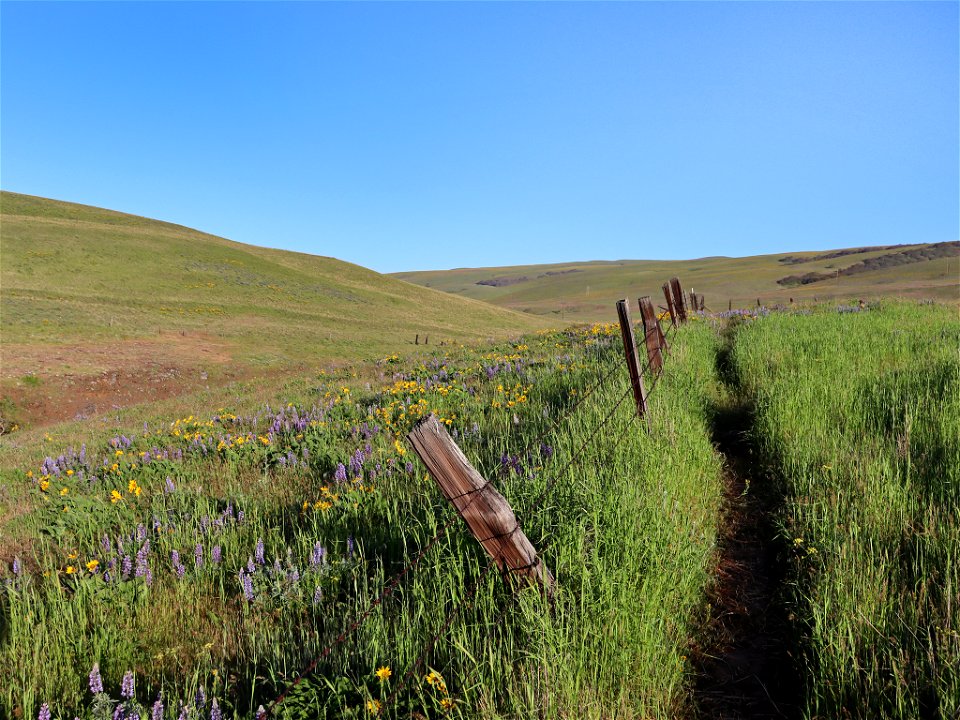 Dalles Mountain Ranch in WA