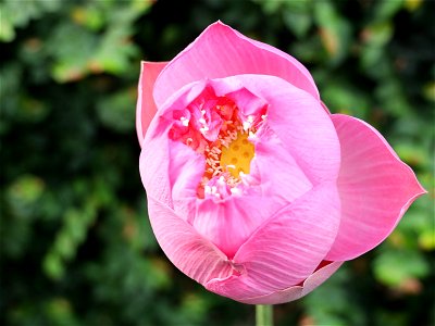 Test photo