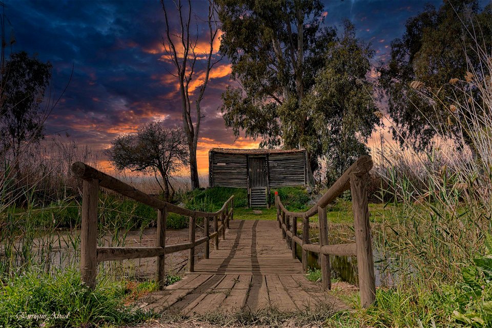 Observatorio de aves - Bird observatory
