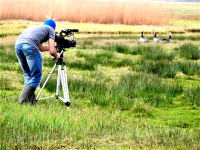 Filmen in de natuur photo