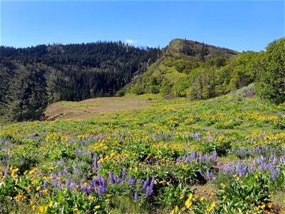 Rowena Crest in OR photo