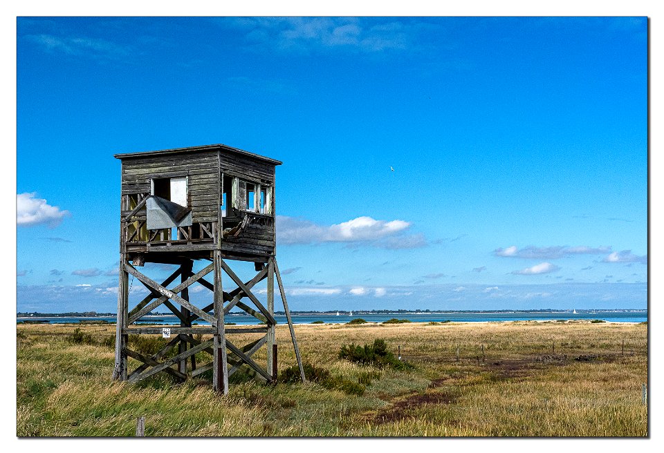 On Cockle spit photo