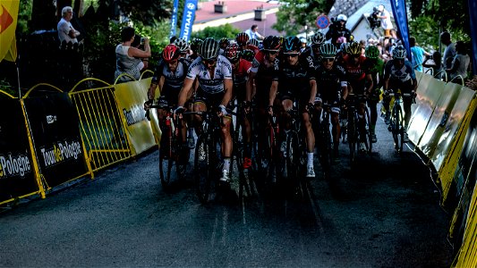 Peter Sagan leading the peleton photo