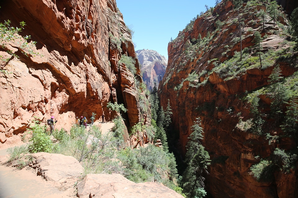 Bright Angel trail in Grand Canyon National Park