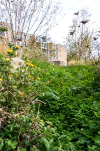 181104 Woodberry Down + Spring Park SuDS (7 of 19)