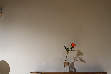 negative space